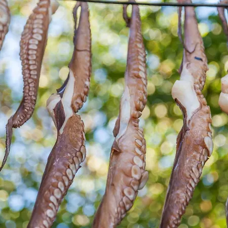 Luxury Santorini Elysian Pente Private Pool 2 Bedrooms * Finikiá